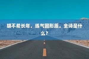 胡不希长年，练气固形质。全诗是什么？