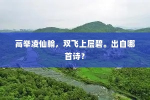 高举凌仙翰，双飞上层碧。出自哪首诗？