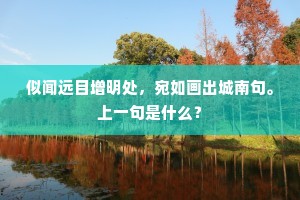 似闻远目增明处，宛如画出城南句。上一句是什么？