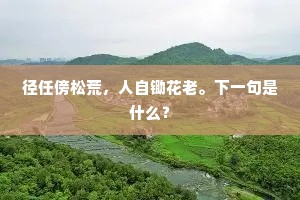 径任傍松荒，人自锄花老。下一句是什么？