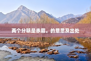 两个分明是赤眉。的意思及出处