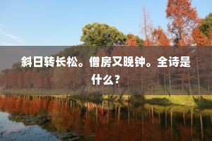 斜日转长松。僧房又晚钟。全诗是什么？