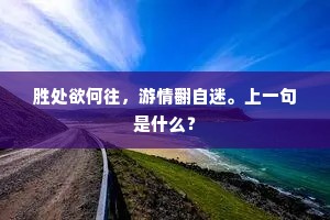 胜处欲何往，游情翻自迷。上一句是什么？