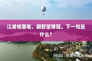 江湖惊落笔，朝野望弹冠。下一句是什么？