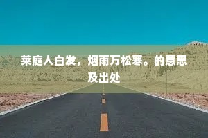 莱庭人白发，烟雨万松寒。的意思及出处