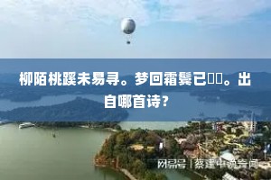 柳陌桃蹊未易寻。梦回霜鬓已骎骎。出自哪首诗？