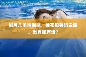 眉月几余清泪赚，菱花拍著暗尘侵。出自哪首诗？