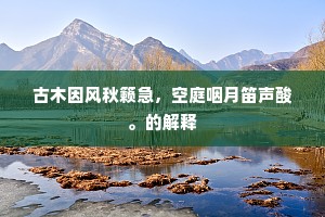 古木因风秋籁急，空庭咽月笛声酸。的解释