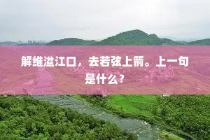 解维湓江口，去若弦上箭。上一句是什么？