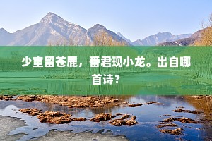 少室留苍鹿，番君现小龙。出自哪首诗？