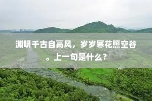 渊明千古自高风，岁岁寒花照空谷。上一句是什么？