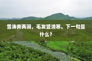 雪涛奔两涧，毛发竖清寒。下一句是什么？
