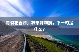 鼻裂花香劲，衣牵棘刺攒。下一句是什么？
