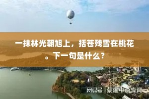一抹林光朝旭上，括苍残雪在桃花。下一句是什么？