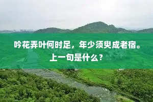 吟花弄叶何时足，年少须臾成老宿。上一句是什么？