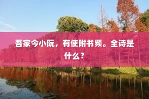 吾家今小阮，有使附书频。全诗是什么？