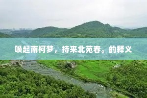 唤起南柯梦，持来北苑春。的释义