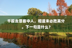 千般去意客中人，相逢未必胜离分。下一句是什么？