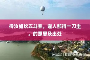 待汝如炊五斗黍，逢人那得一刀圭。的意思及出处