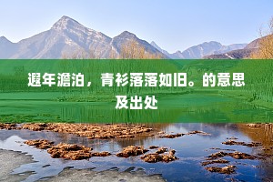 遐年澹泊，青衫落落如旧。的意思及出处