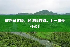 岐路马犹顾，轻波鸥自斜。上一句是什么？
