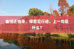幽径还独寻，绿苔见行迹。上一句是什么？