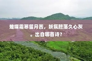 雉堞霜寒留月苦，妖氛胆落久心灰。出自哪首诗？