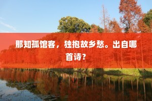那知孤馆客，独抱故乡愁。出自哪首诗？