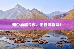 知否酒醒今夜。出自哪首诗？