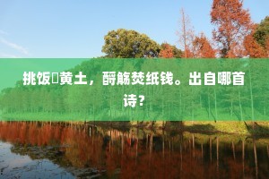 挑饭瘞黄土，酹觞焚纸钱。出自哪首诗？
