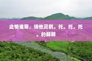 此情谁寄，倩他灵鹤。托。托。托。的解释