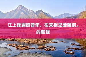 江上逢君感昔年，往来相见陆陵前。的解释