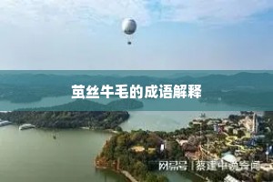 茧丝牛毛的成语解释