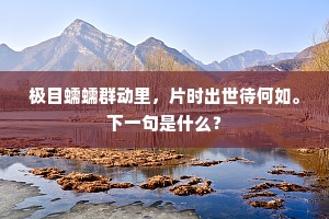 极目蠕蠕群动里，片时出世待何如。下一句是什么？
