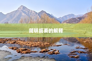 简明扼要的解释