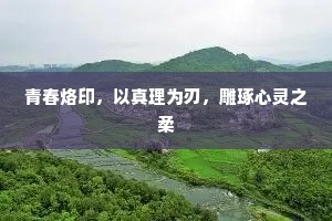 青春烙印，以真理为刃，雕琢心灵之柔