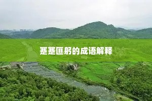 蹇蹇匪躬的成语解释