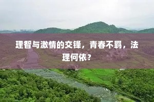 理智与激情的交锋，青春不羁，法理何依？