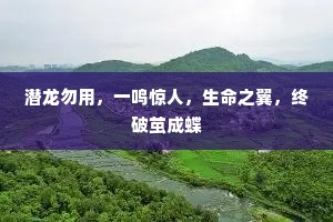 潜龙勿用，一鸣惊人，生命之翼，终破茧成蝶