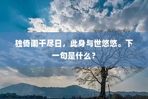 独倚阑干尽日，此身与世悠悠。下一句是什么？