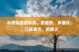 与君动是经年别。更堪悲、多番坎壈，几般离合。的释义