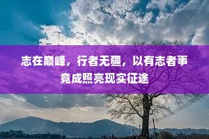 志在巅峰，行者无疆，以有志者事竟成照亮现实征途