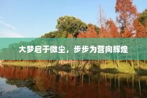 大梦启于微尘，步步为营向辉煌