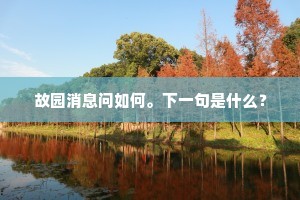 故园消息问如何。下一句是什么？