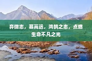 弃微志，慕高远，鸿鹄之志，点燃生命不凡之光