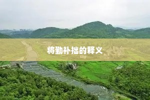 将勤补拙的释义