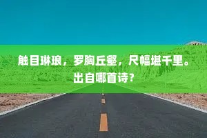 触目琳琅，罗胸丘壑，尺幅堪千里。出自哪首诗？
