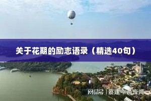 关于花期的励志语录（精选40句）