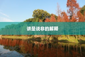 讲是说非的解释