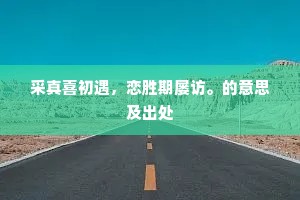 采真喜初遇，恋胜期屡访。的意思及出处